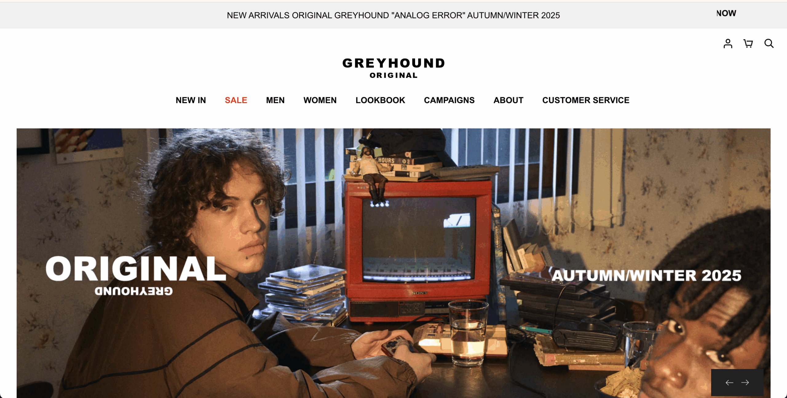 7. Greyhound